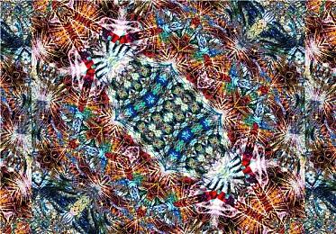 任天堂：《塞尔达传说：王国之泪》70美元定价反应了玩家的期待